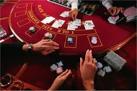 Dealer profesional di studio kaskustogel